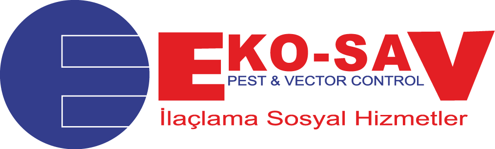 Ekosav İlaçlama: İstanbul Böcek İlaçlama ve Haşere Kontrol, Garantili Çözüm
